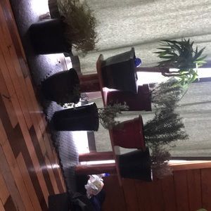 Meet your Posher, Jacklyn